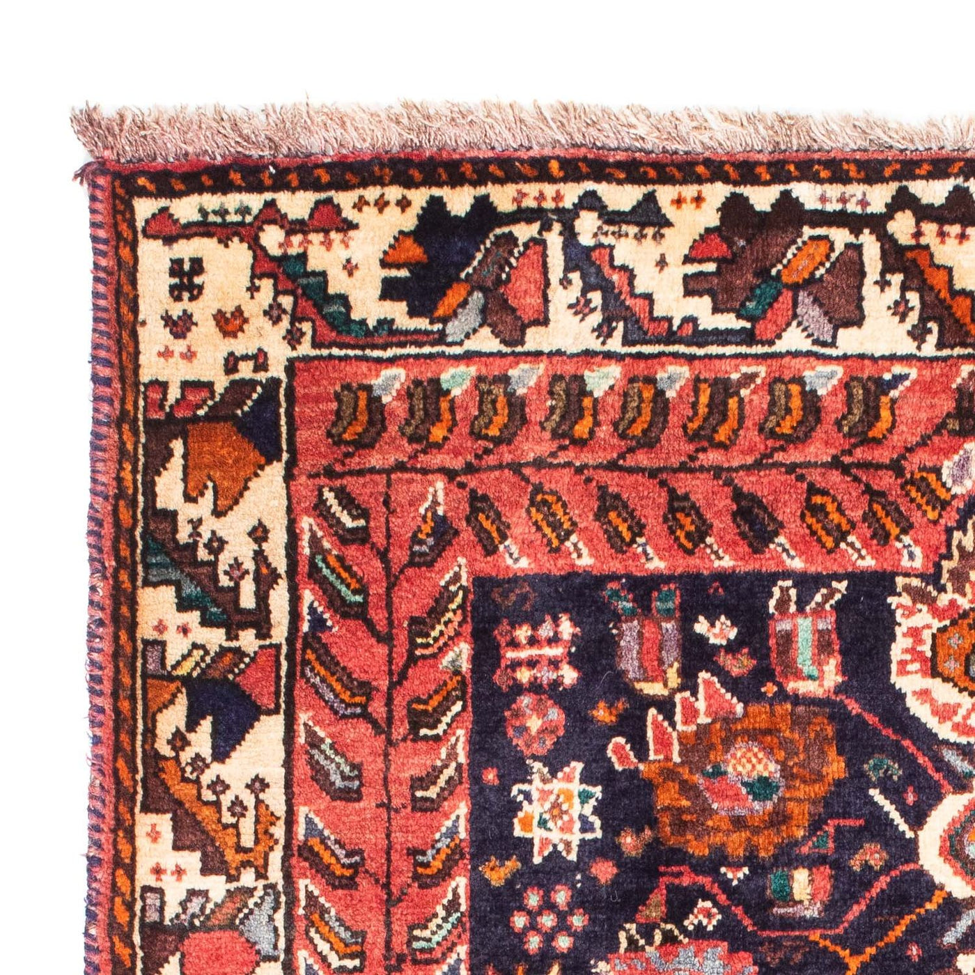 Shiraz Tappeto 165x115cm - Tappeto persiano