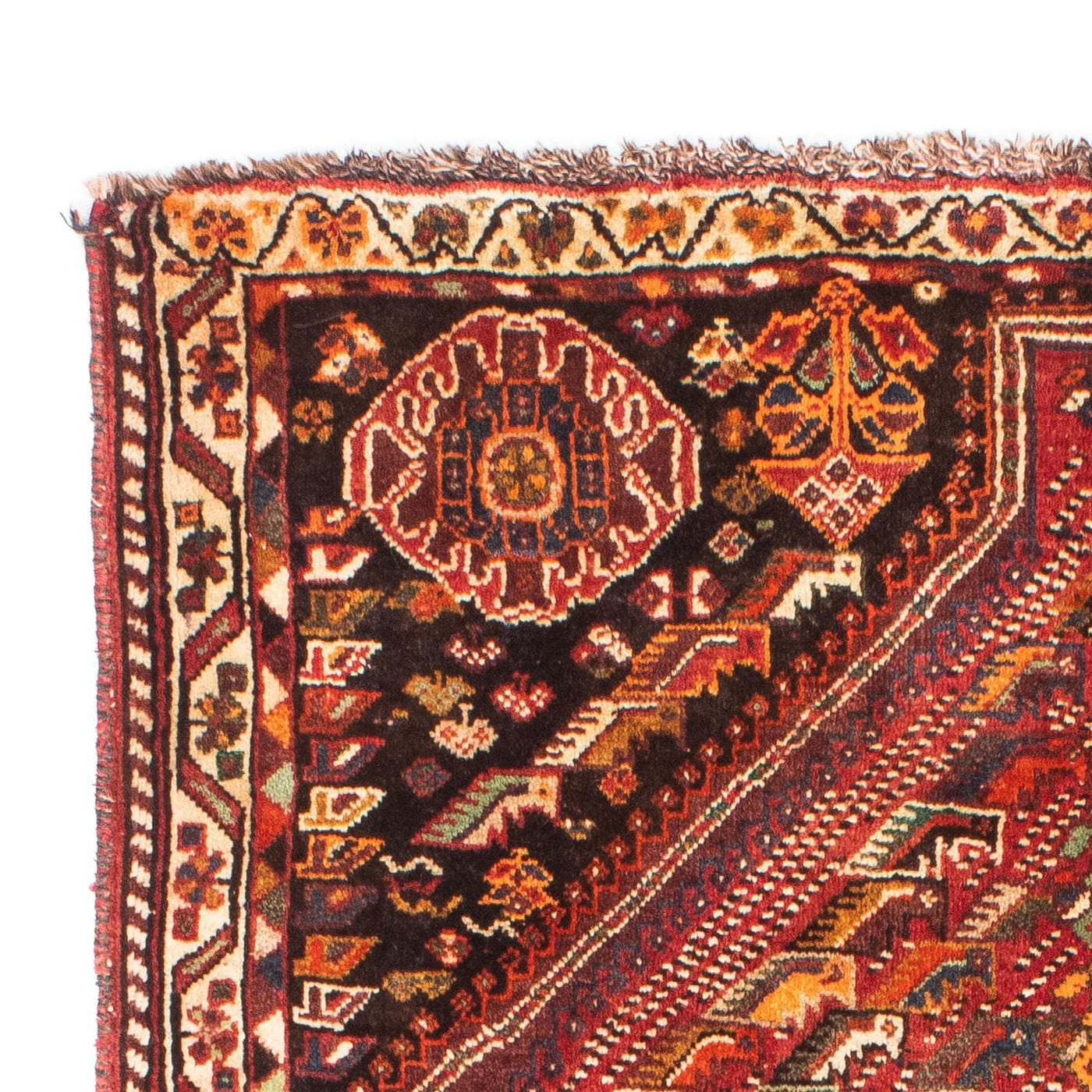 Shiraz Tappeto 156x112cm - Tappeto persiano