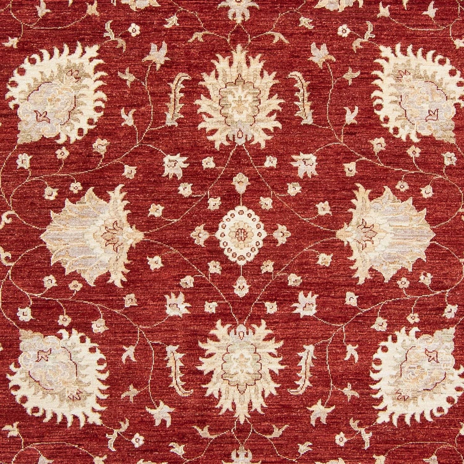 Tappeto Ziegler - 298 x 240 cm - rosso scuro
