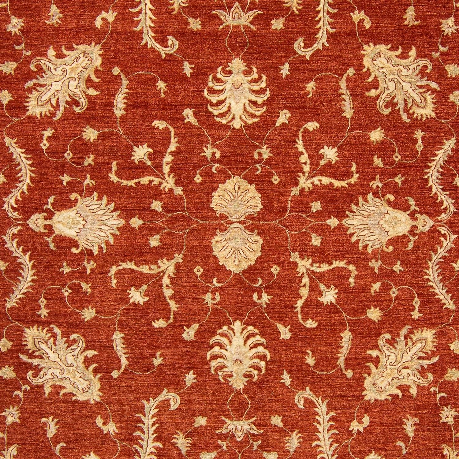 Tappeto Ziegler - 350 x 254 cm - rosso scuro