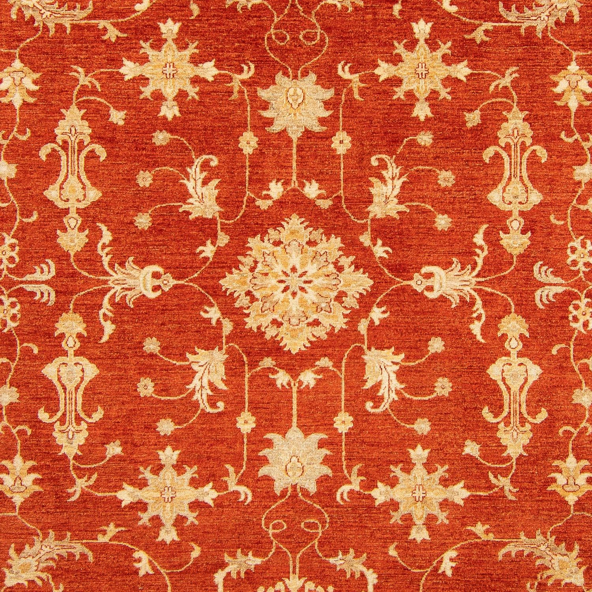 Tappeto Ziegler - 345 x 245 cm - rosso
