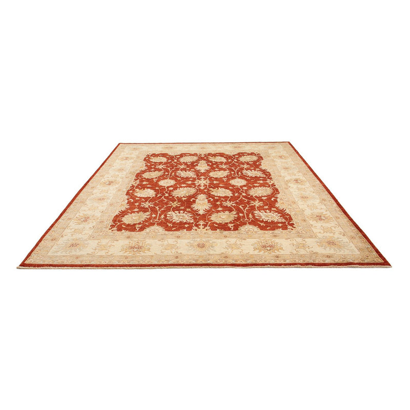 Tappeto Ziegler - 295 x 249 cm - rosso scuro
