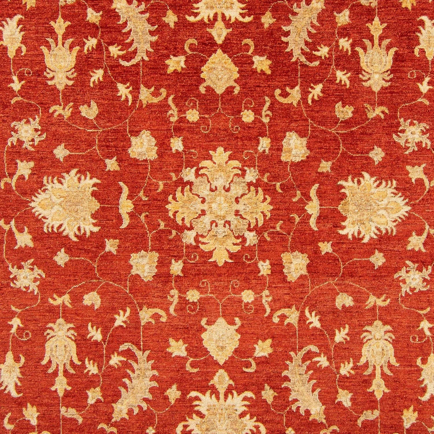 Tappeto Ziegler - 346 x 243 cm - rosso