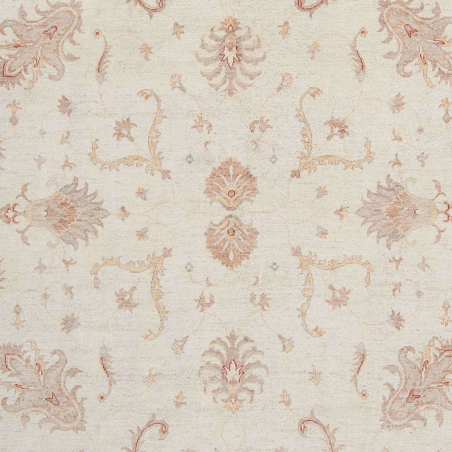 Tappeto Ziegler - 358 x 248 cm - beige