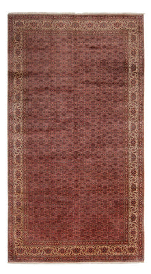 Tappeto Persero - Bidjar - 482 x 256 cm - marrone