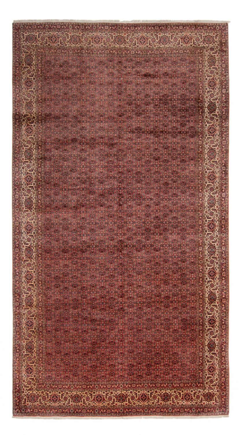 Tappeto Persero - Bidjar - 482 x 256 cm - marrone