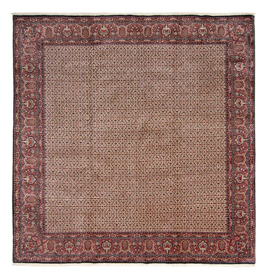 Tappeto Persero - Bidjar quadrato  - 366 x 348 cm - beige