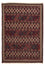 Tappeto Kelim - Orientale - 244 x 172 cm - multicolore