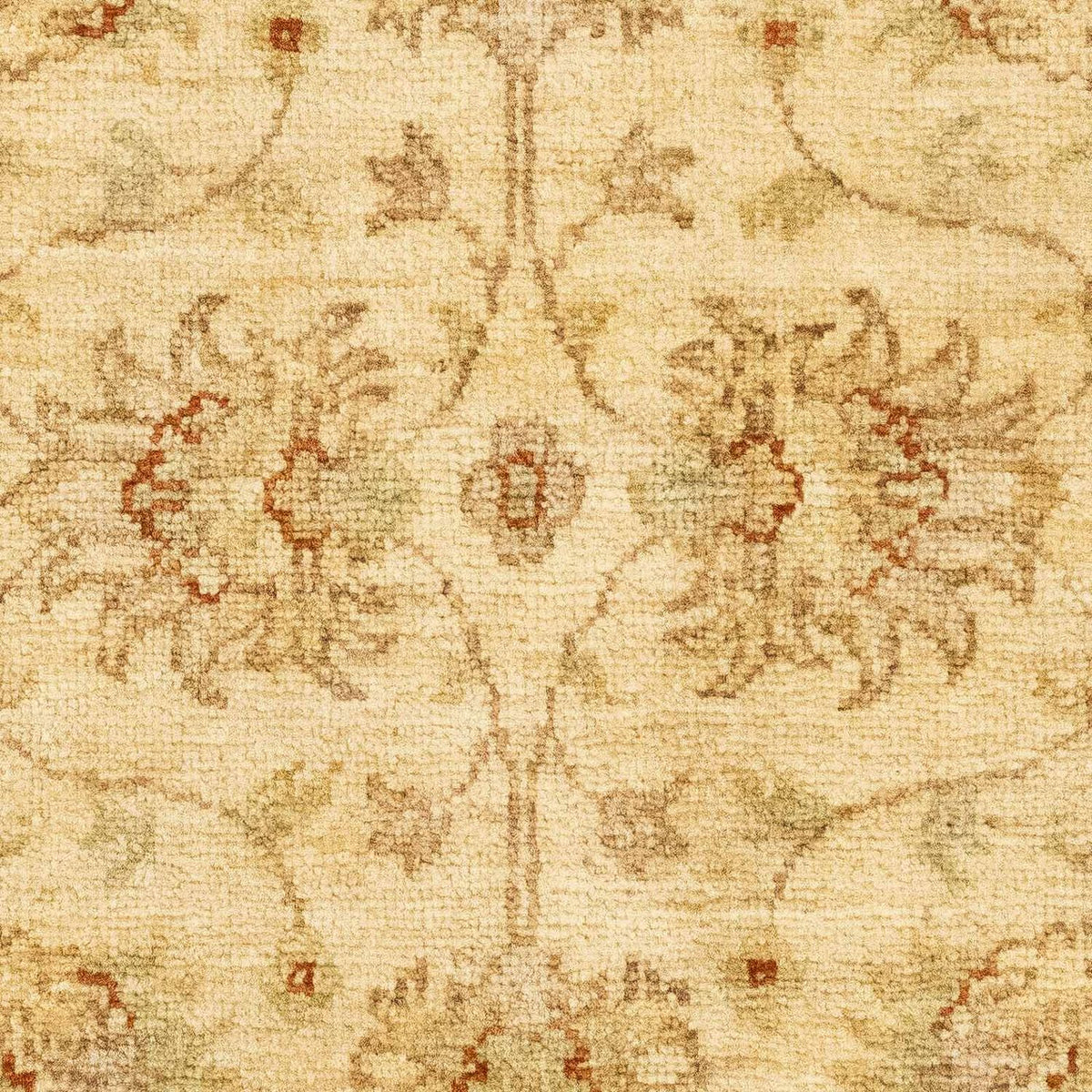 Tappeto Ziegler - 90 x 60 cm - beige