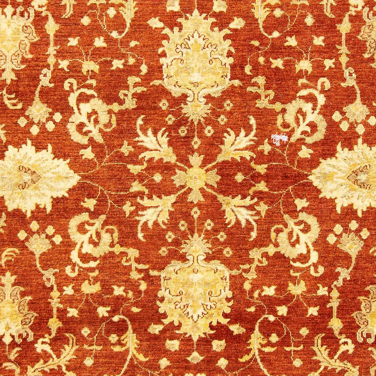 Tappeto Ziegler - 251 x 198 cm - rosso scuro