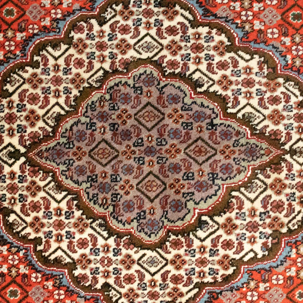 Tappeto Persero - Tabriz - 205 x 145 cm - ruggine
