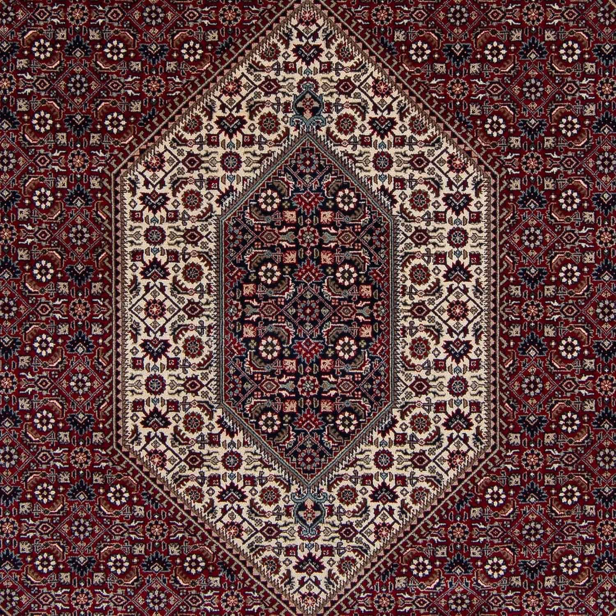 Tappeto Persero - Bidjar - 303 x 249 cm - rosso scuro
