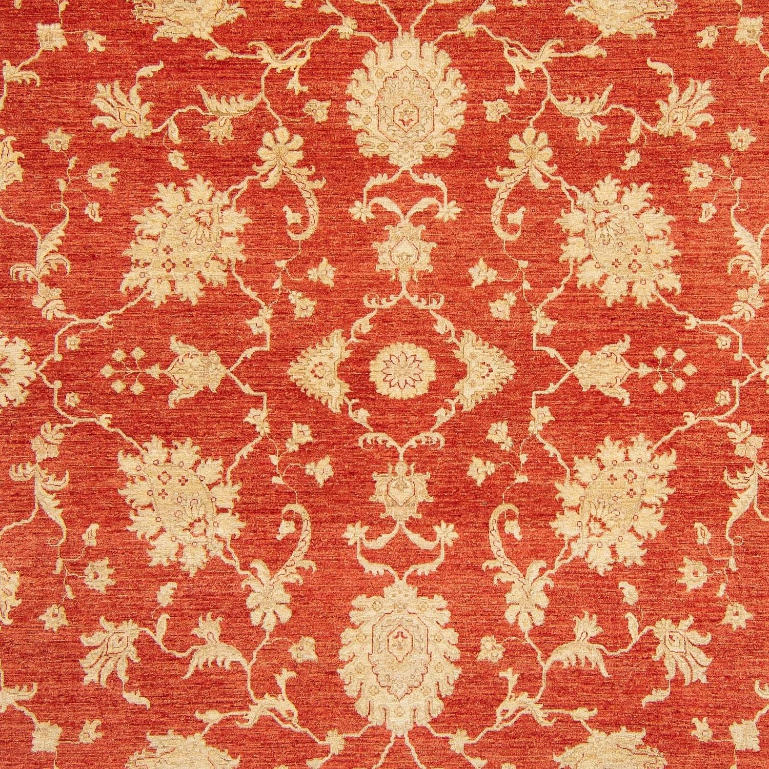 Tappeto Ziegler - Kazak - 363 x 276 cm - rosso