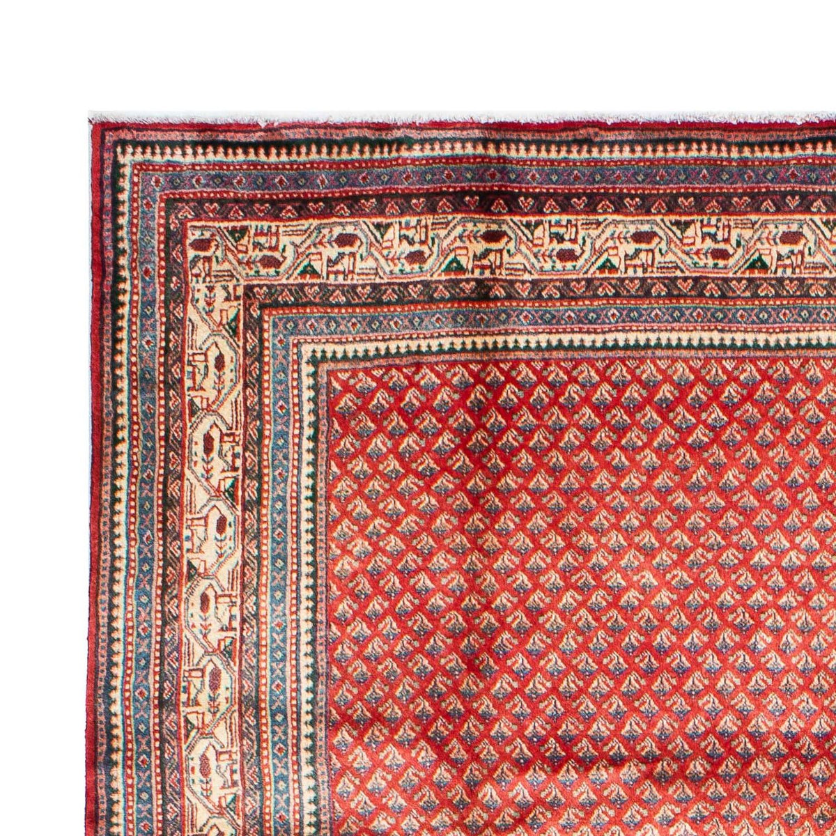 Mir Tappeto 211x308cm - Tappeto persiano