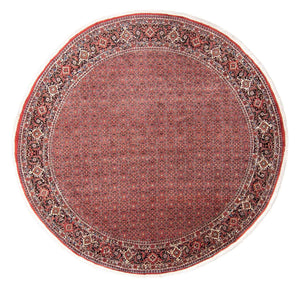 Tappeto Persero - Bidjar rotondo  - 300 x 300 cm - rosso