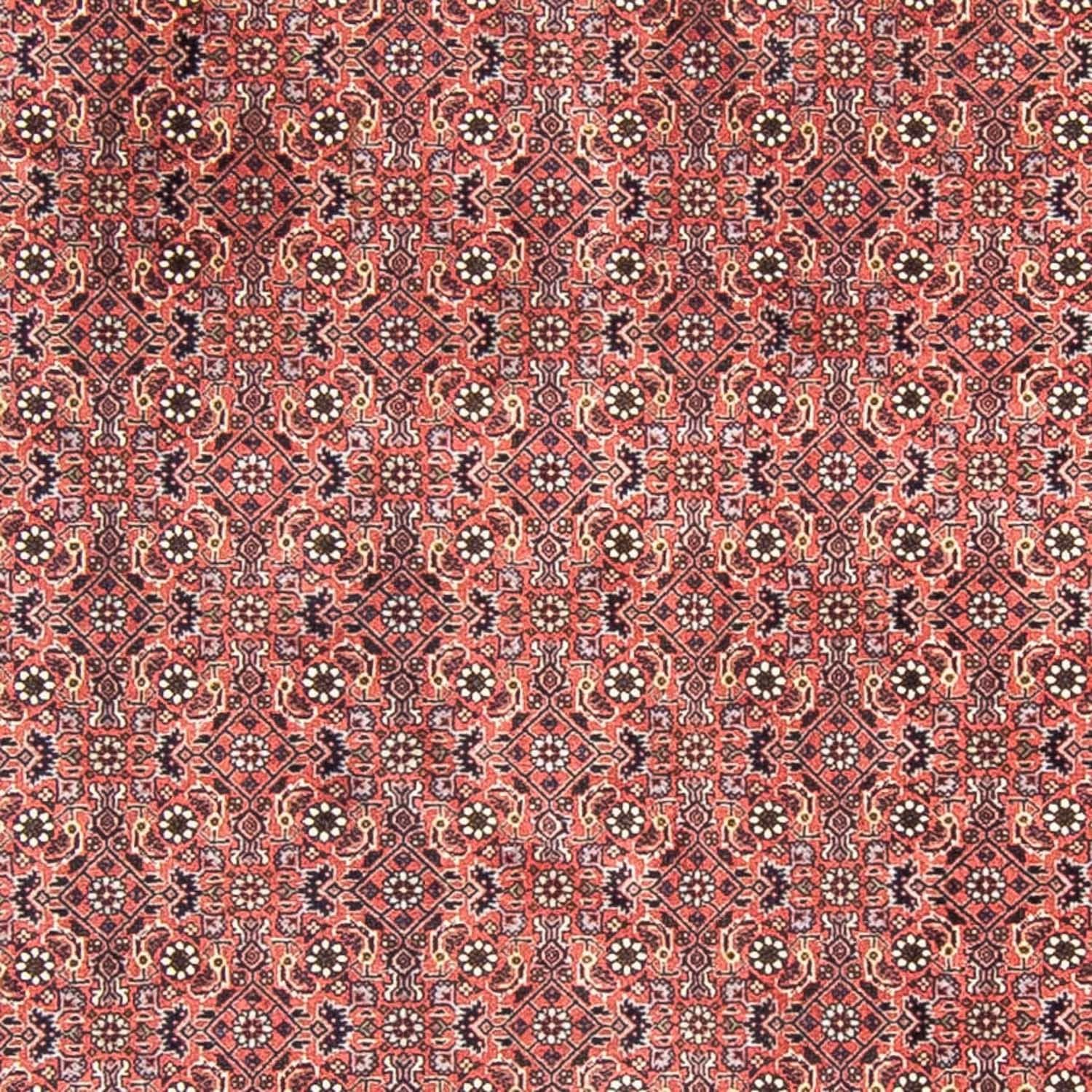 Tappeto Persero - Bidjar rotondo  - 300 x 300 cm - rosso chiaro