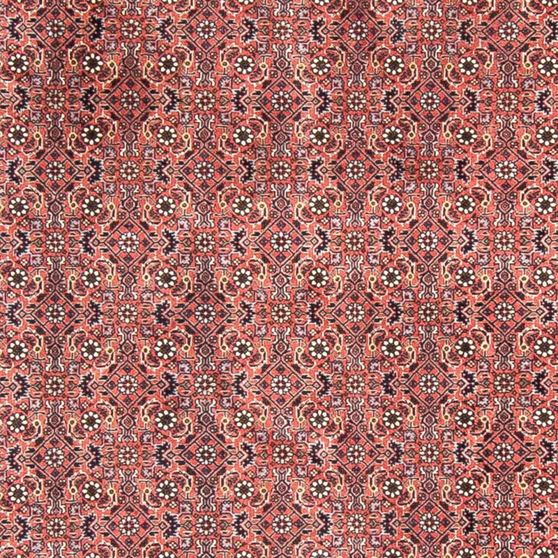 Tappeto Persero - Bidjar rotondo  - 300 x 300 cm - rosso chiaro